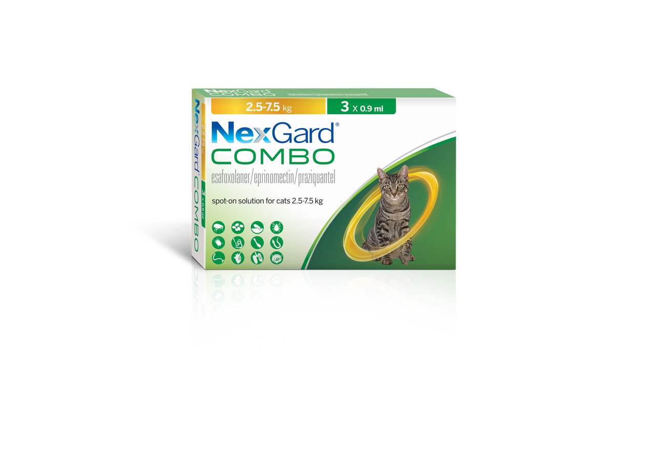 NEXGARD COMBO CAT, LARGE