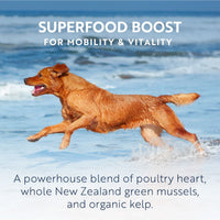 ZIWI Peak Air-Dried Mackerel & Lamb Recipe Dry Dog Food - 4kg