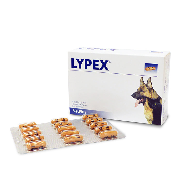 Lypex