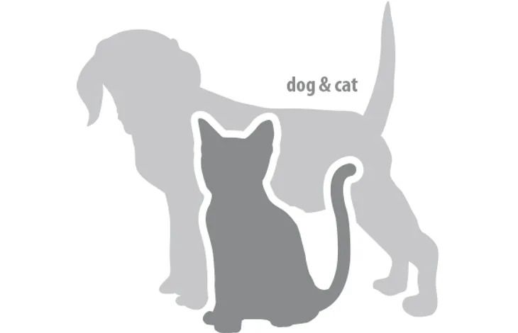 Flamingo Petcare Dog & Cat Tear Stain Remover 50ml - 50ml