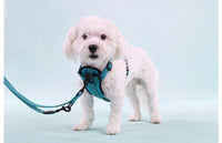 Thumbnail for Flamingo Zorba Training Dog Leash 250cm - Turquoise 250cm