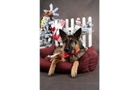 Thumbnail for Flamingo Mik Red Christmas Dog Bandana - Red