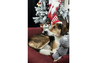 Thumbnail for Flamingo Ponne Red Santa Christmas Dog Hat - Red