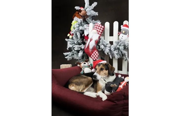 Flamingo Barda Gnome Sock Christmas Cat Toy -