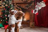 Flamingo Beto Bone + Rope Squeaky Christmas Dog Toy