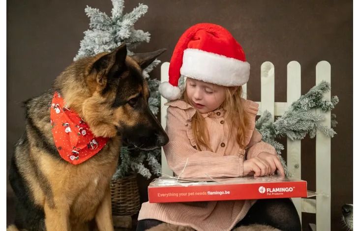 Flamingo Christmas Calendar Nature Snack Dog Treats 24pcs -