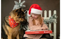 Thumbnail for Flamingo Christmas Calendar Nature Snack Dog Treats 24pcs -