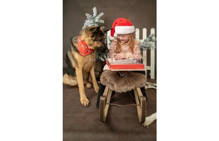 Flamingo Christmas Calendar Nature Snack Dog Treats 24pcs -