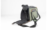 Thumbnail for Flamingo Gisel Dog Carrying Bag Green - Green