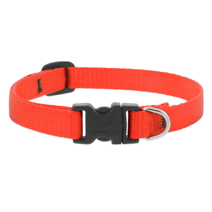 BASICS Adjustable Collar ORANGE 1/2″ FOR SMALL DOGS - 10"-16"