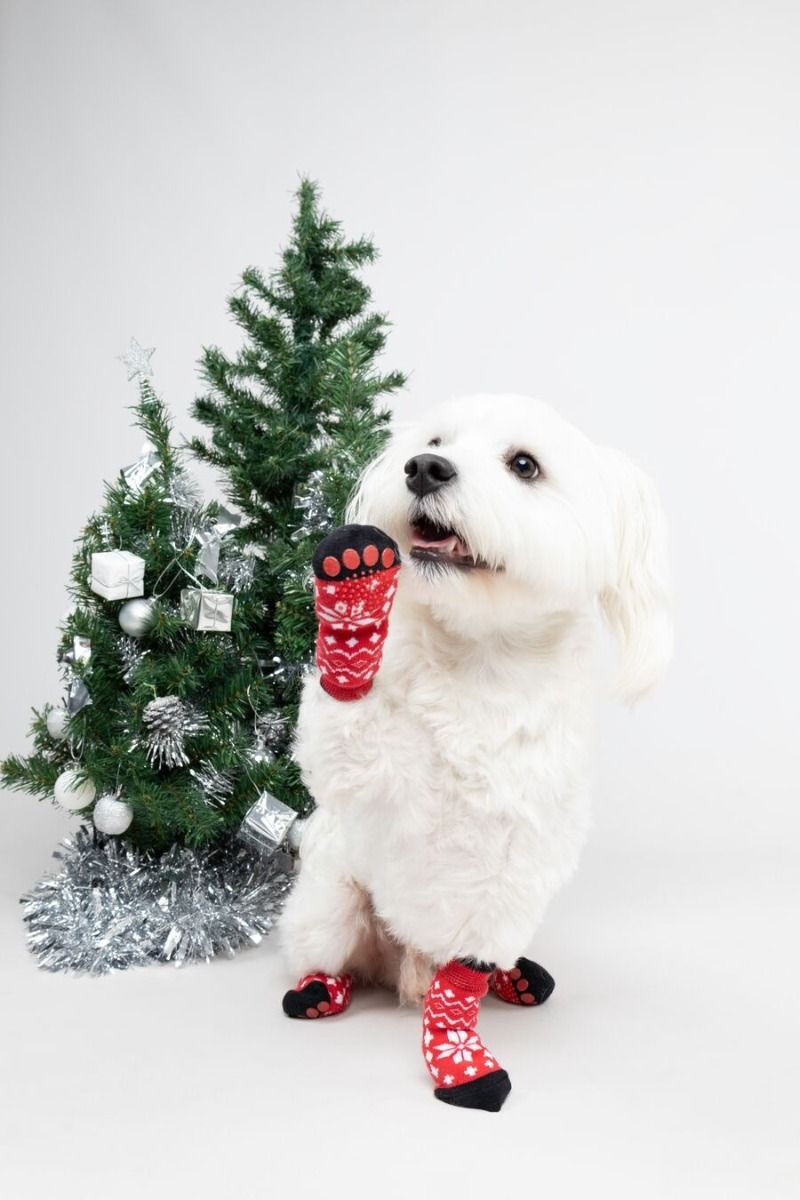 Flamingo Keysa Red Christmas Matching Socks - Red