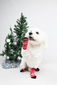 Flamingo Keysa Red Christmas Matching Socks - Red