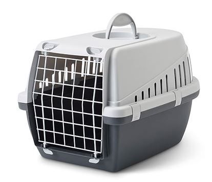 Savic Trotter Pet Transport Box - 2