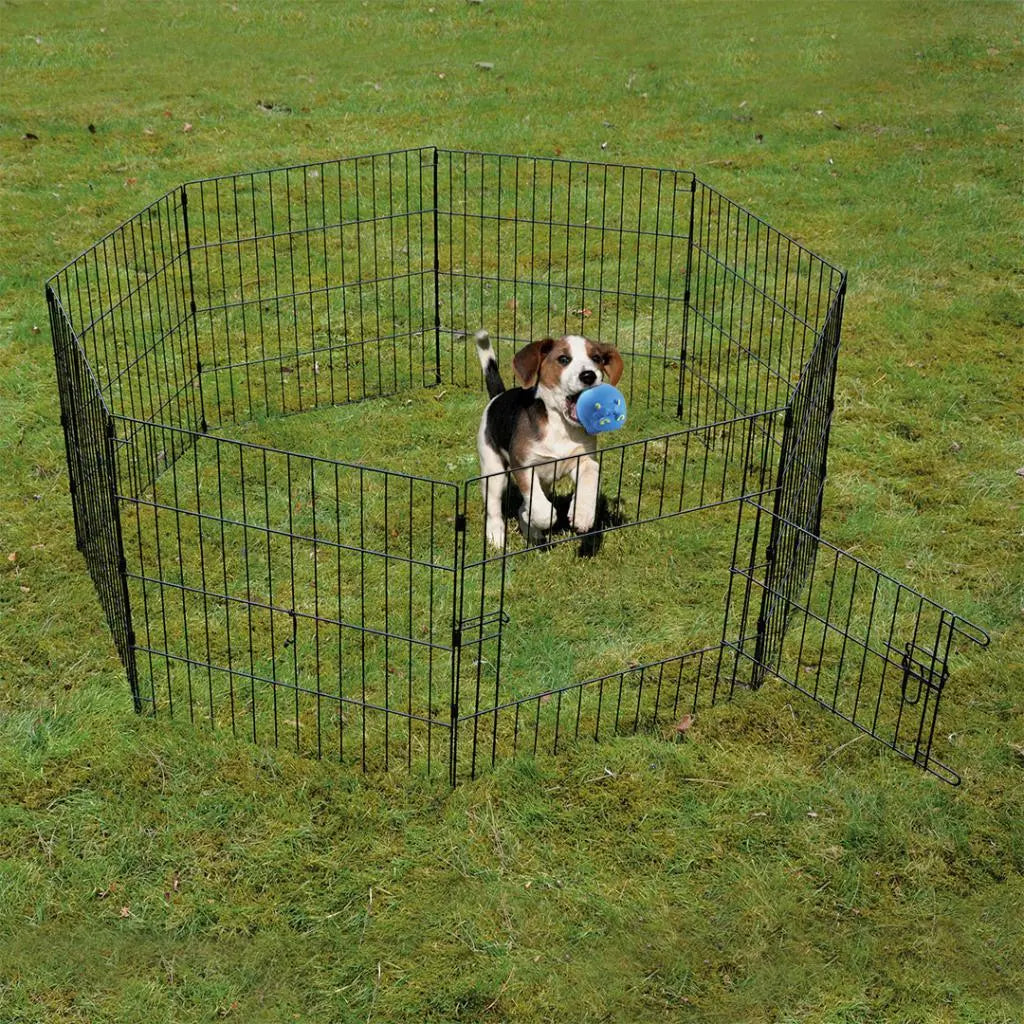 Duvo Puppy Run With Door & Net & Hooks Black 60 x 60cm[Color - Black, Dimension - 60 x 60cm]