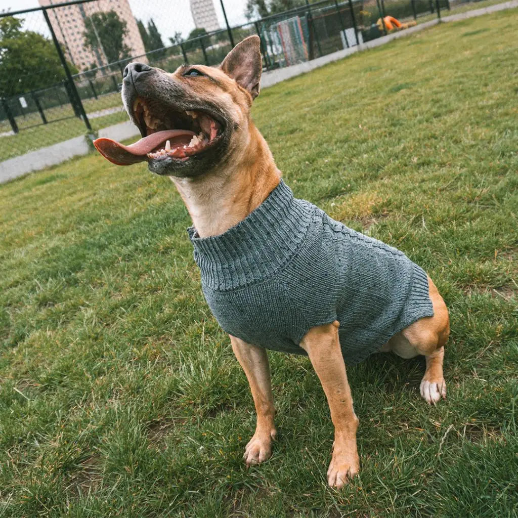 Duvo+ Dog Sweater Cozy, Grey[Size - M]