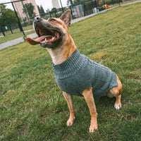 Duvo+ Dog Sweater Cozy, Grey[Size - M]