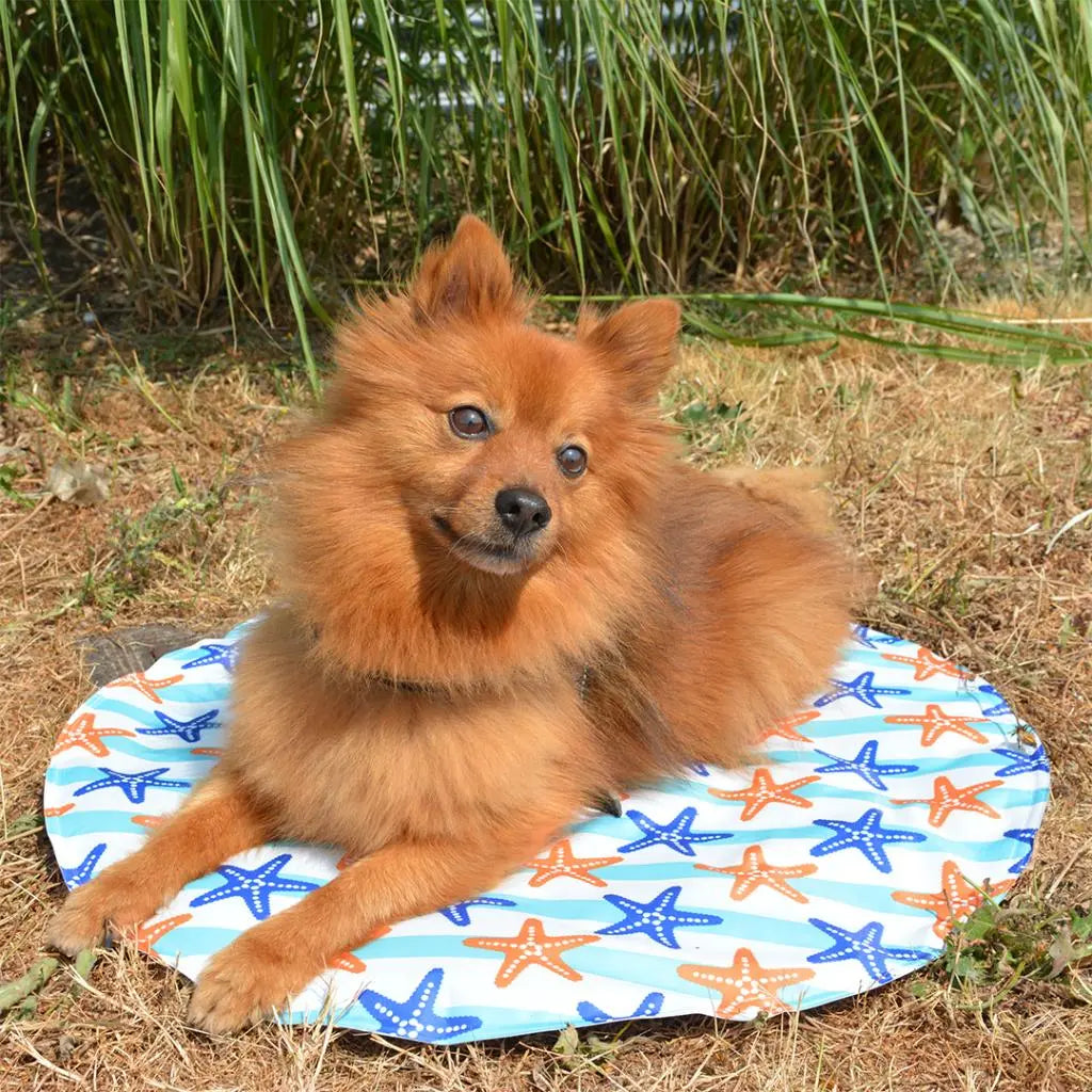 Duvo+ Cooling Mat Round 60x60x0.8cm, Mixed Color & Pattern