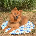 Duvo+ Cooling Mat Round 60x60x0.8cm, Mixed Color & Pattern