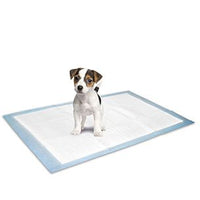 Thumbnail for Flamingo Puppy Pads - M