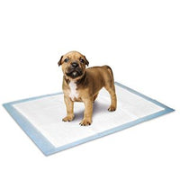 Thumbnail for Flamingo Puppy Pads - M