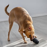 Kong Extreme Dog Toy - XX-L