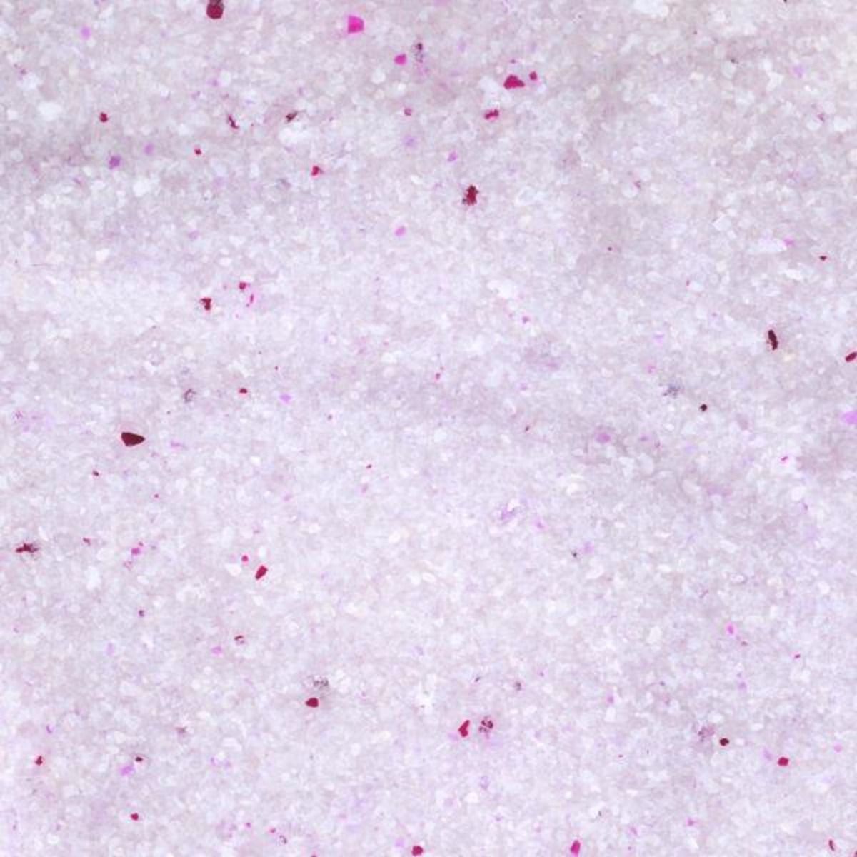 Flamingo Silica Fine Grains Clumping Lightweight Cat Litter - 15L