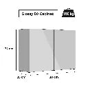 Aquael Cabinet Glossy Black[Size - 80cm]