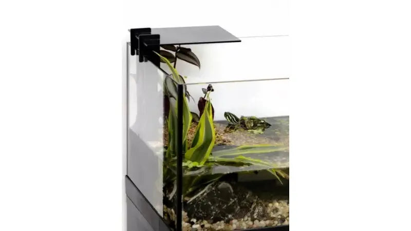 Aquael Aquaterrarium 60
