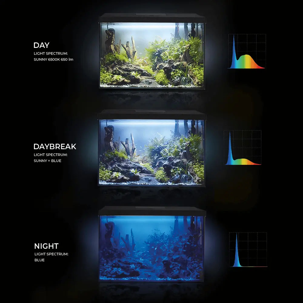 Aquael Leddy Aquarium Set Black-Day & Night[Size - 40 cm]