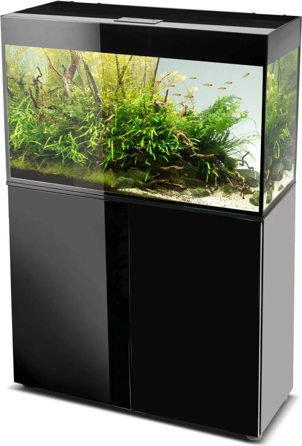 Aquael Aquarium Glossy Day & Night black[Dimension - 80 x 35 x 54cm]