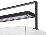 Aquael UltraScape Forest Aquarium[Volume - 90L]