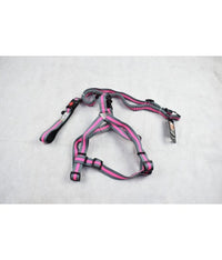 Thumbnail for Golden Panda Leash + Harness + Collar[Dimension - 15mm x 35-50cm + 15mmx120cm]