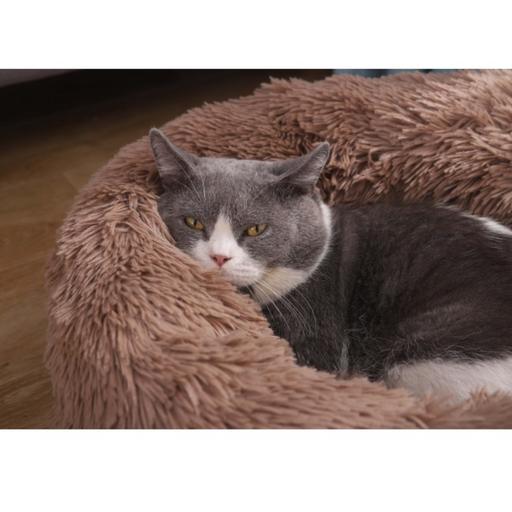 Pado Pet Fluffy Donut Cushion - Brown[Size - L, Dimension - 60 x 20cm]