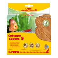 Thumbnail for Sera Catappa Leaves  (10pcs)[Size - S]