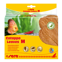Thumbnail for Sera Catappa Leaves  (10pcs)[Size - M]