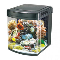 Thumbnail for Boyu Marine Aquarium With Cabinet 520Lx580Wx630H(Mm)[Hs-62]