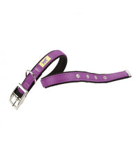 Thumbnail for Ferplast Dual CF Collar[Color - Purple, Dimension - 27-35cm x 15mm]