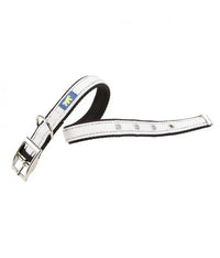 Thumbnail for Ferplast DUAL CF15 / 35 COLORS Dog Collar[Color - White, Dimension - 35-43cm x 20mm]