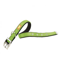 Thumbnail for Ferplast DUAL CF15 / 35 COLORS Dog Collar[Color - Green, Dimension - 45-53cm x 25mm]