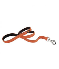 Ferplast DUAL G COLORS Nylon Dog Leash[Color - Orange, Dimension - 25mm x L 110cm]