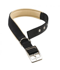 Ferplast Daytona C Nylon Dog Collar[Color - Black, Dimension - 27-35cm x 15mm]