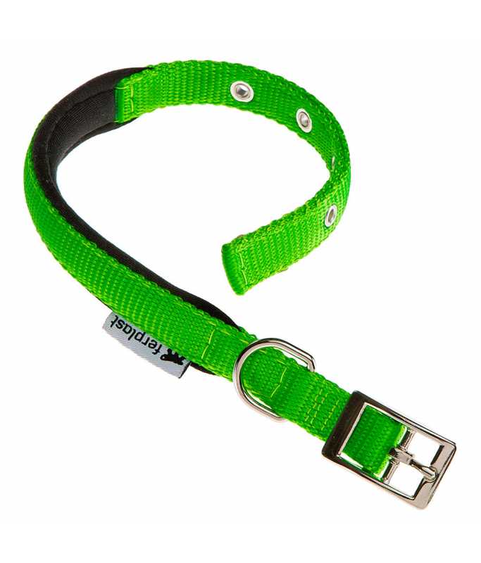 Ferplast Daytona C Nylon Dog Collar[Color - Green, Dimension - 27-35cm x 15mm]
