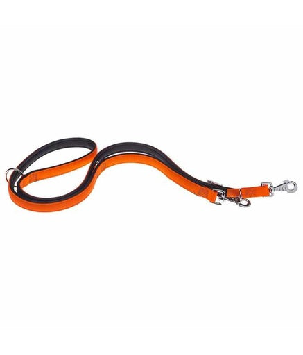 Ferplast Daytona GA Nylon Dog Leash[Color - Orange, Dimension - 20mm x L 200cm]