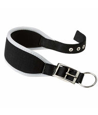Thumbnail for Ferplast Ergocomfort CW15/32 Padded Dog Black Collar, 26-32cm x 15mm[Dimension - 26-32cm x 15mm]