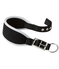 Thumbnail for Ferplast Ergocomfort CW20/39 Dog Padded Collar