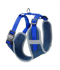 Ferplast Nikita PM Technical Harness In Breathable Nylon[Color - Blue, Dimension - 19-26 x 28-40cm x 10mm, Size - XS]