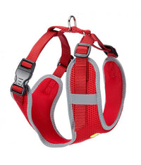 Ferplast Nikita PM Technical Harness In Breathable Nylon[Color - Maroon, Dimension - 24-31 x 30-41cm x 15mm, Size - S]