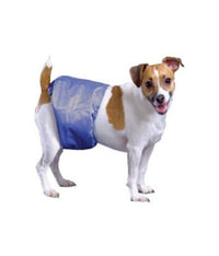 Thumbnail for Pooch Pad Poochpants Male Wrap XL  29 - 35