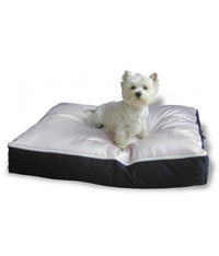 Thumbnail for Pooch pad Dog Bed Large (42 x 30inch)[Dimension - 42 x 30inch]