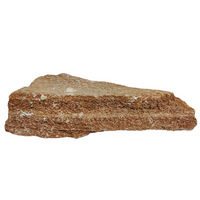 Thumbnail for Aqualife Burmese Wood Fossil Stone-Per Kg